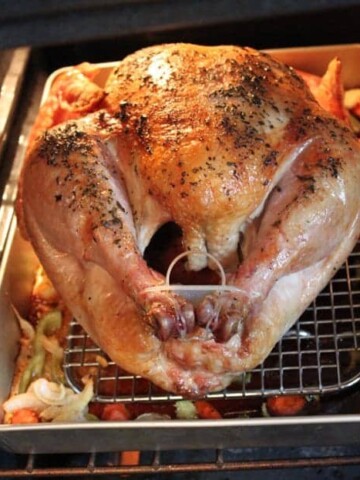 Thanksgiving Turkey.