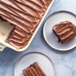 Two slices of gluten-free and egg-free chocolate cake on two plates sitting next to the cake pan.