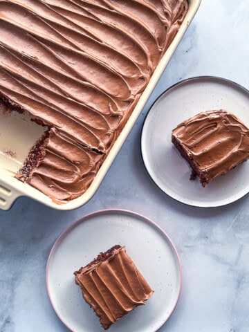 Two slices of gluten-free and egg-free chocolate cake on two plates sitting next to the cake pan.
