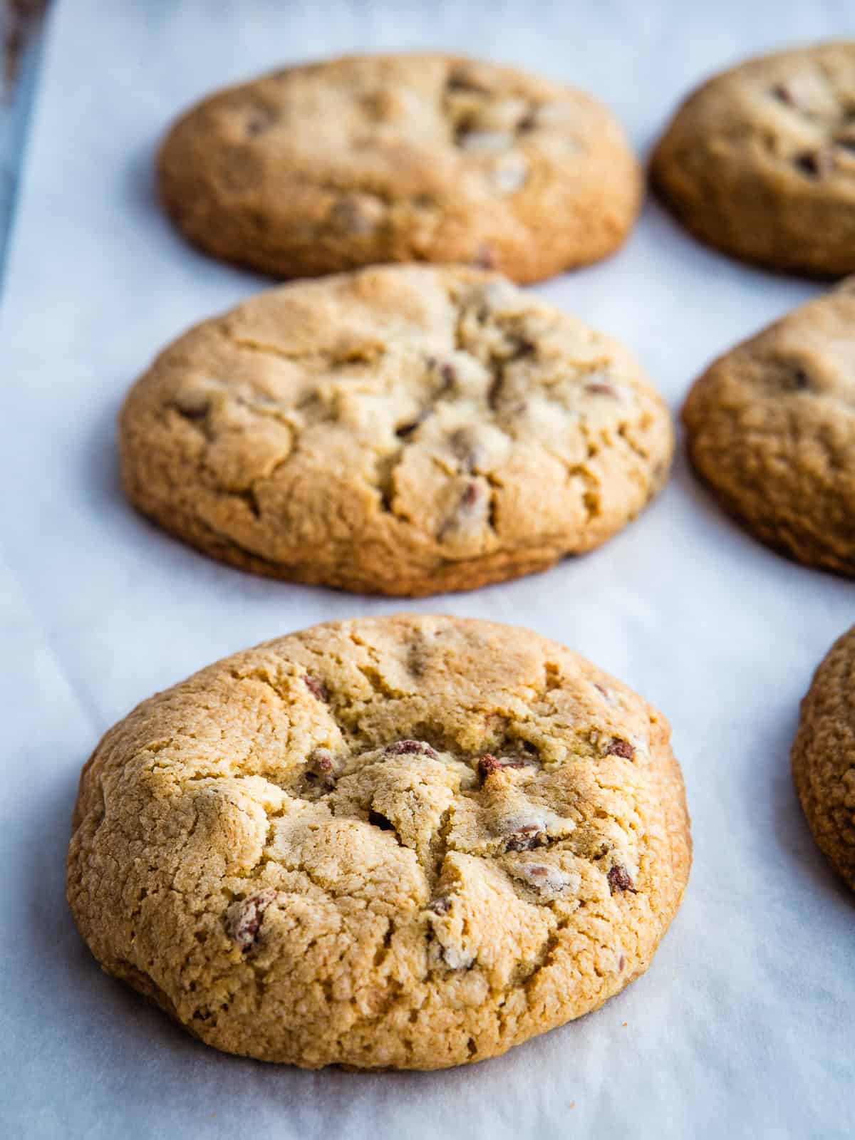 Bakery-style gluten-free chocolate chip cookies cooling on the pan.